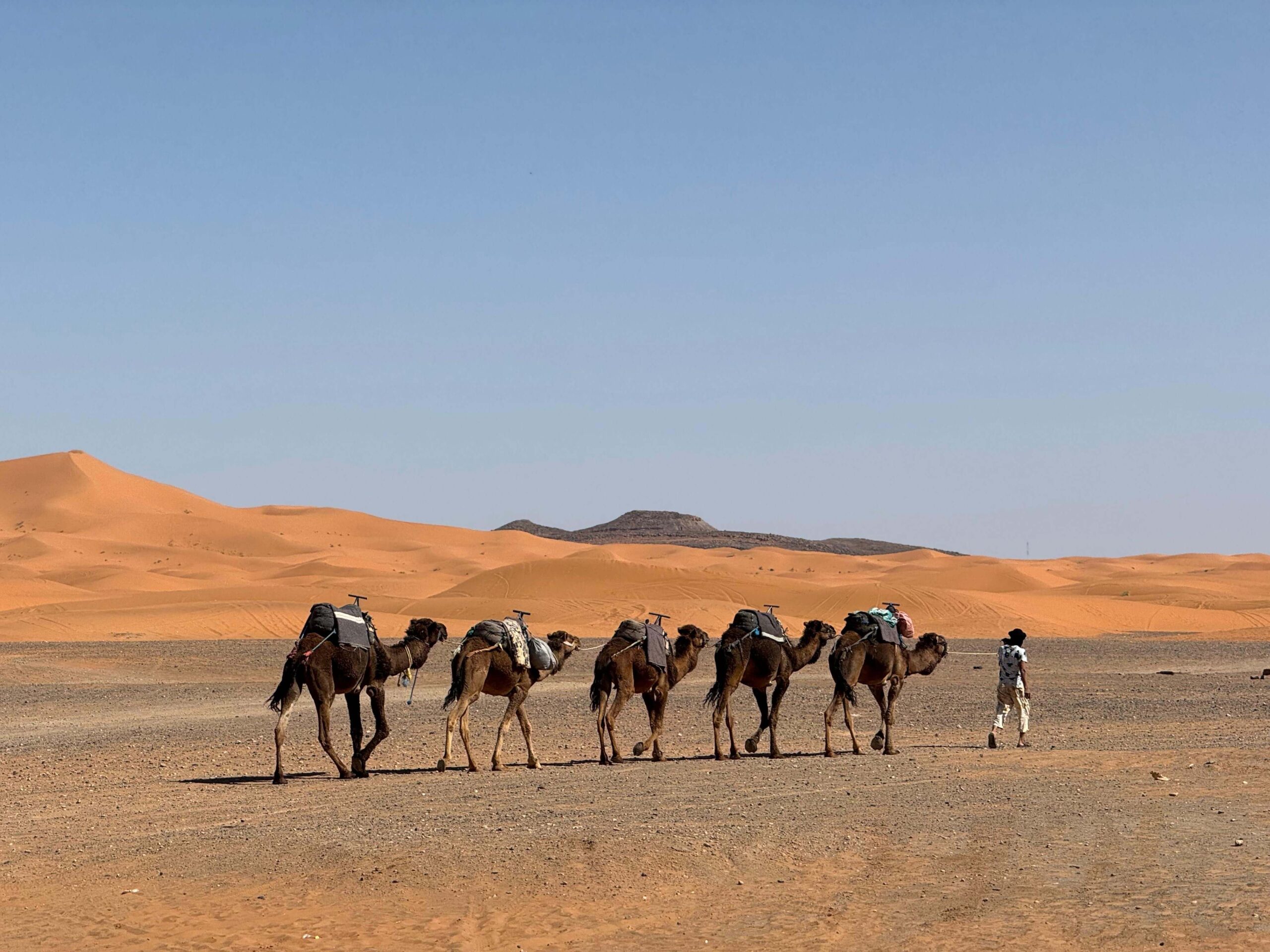 Ruta de 3 Días de Marrakech a Fez por el Desierto